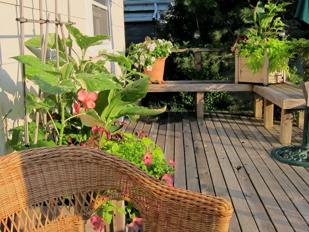 Home Exterior and Garden Renovation